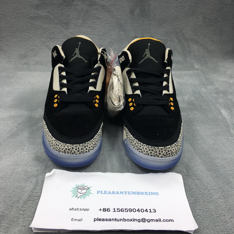 Authentic Air Jordan 3 x air max 87 pack “Atmos”